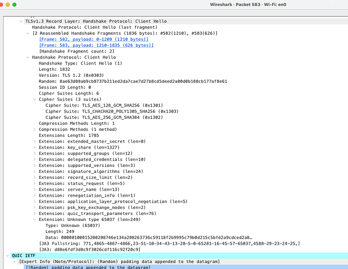 Textdetails eines Client-Hello-Pakets aus einem Wireshark-Mitschnitt